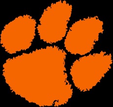 Babylon  Panthers Logo