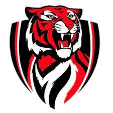 Moon Area (PA) Tigers Logo
