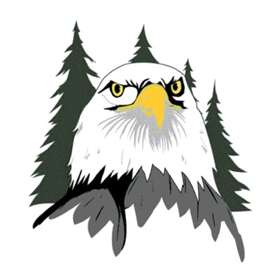 Bolton Wild Eagles Logo