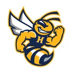 Harpursville/Afton Hornets Logo